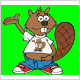 Castor informatique