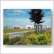 Site Milliken de ROISEL dans la Somme