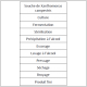 Le process de fabrication de la gomme xanthane.