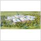 Bac SI 2026 - Centre Hospitalier de Guadeloupe