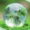Enjeux de la transition écologique