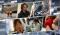 Casting M6 « Made in France : Ils inventent l’industrie de demain »
