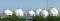 E4 U42 BTS CRCI 2016 Image 1