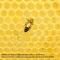 Nid d’abeille naturel