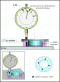 Autocontrole