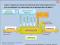 Stratégies de formation - Estrategias de formación