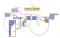 Initiation LABVIEW : identifier et générer des trames CAN