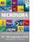 Micronora 2018