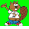 Castor informatique