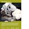 Fabrication additive