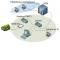 Cablage informatique réseau multi-sites