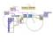 Initiation LABVIEW : identifier et générer des trames CAN