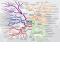 culture : L’innovation dans le texte
