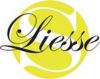 Logo Stages Liesse