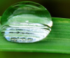 hypothèses de travail retenues pour évaluer la consommation d’eau du secteur agricole