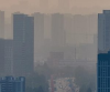une carrière la tête dans les nuages