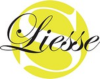Logo stages LIESSE