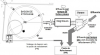 Synoptique de gestion des effluents