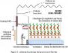 CAPET Ext 2023 - SII - Epreuve 2 - 02