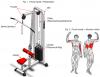 Poulie Haute (appareil de musculation)