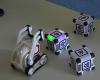 Cordées de la réussite, la robotique en EEA