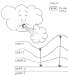 Effet du vent sur l'océan - Effect of the wind on the ocean