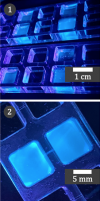 Dispositif microfluidique, les réservoirs cubiques sont reliés par un microcanal