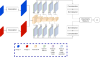 Illustration de la MR-perceptual loss