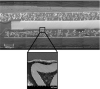 Coupe microscopique d’une diode intégrée au cœur du PCB