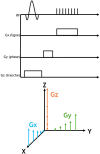 Séquence d’IRM d’écho de gradient et champs de gradient magnétiques