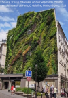 Le pignon de la rue Aboukir après 3 mois de plantation