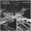 Plaque en composite sous essai biaxial et microstructure du composite