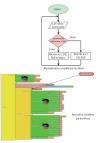 Programmation de l’allumage des DEL RGB en fonction de la luminosité