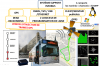 INFOBUS