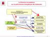 Performance thermique des bâtiments et énergie solaire